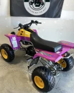 1995 Yamaha Banshee - Image 5