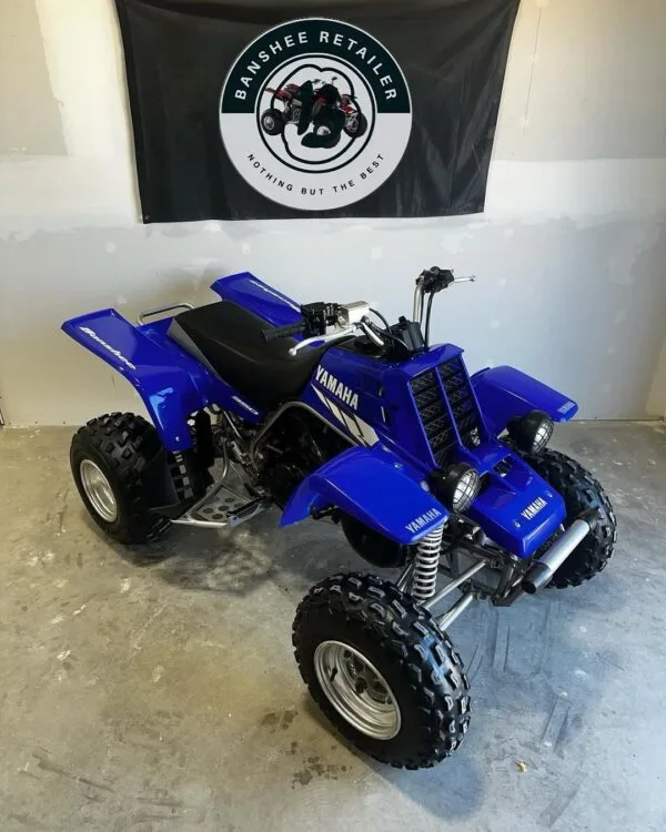 75D7C45D-79A9-4178-AD31-B1B17F716765-600x750.jpeg 2003 Yamaha Banshee - Image 1