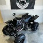 2006 Yamaha banshee