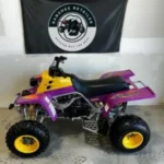 1995 Yamaha Banshee - Image 4